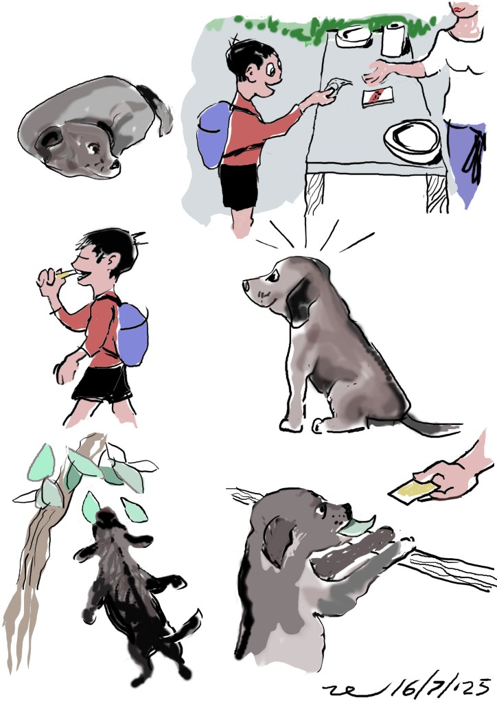 Disegno tenero e ironico di un cane randagio che offre una foglia in cambio di un biscotto, come per pagare. Humor sull’intelligenza animale e il valore simbolico degli scambi affettivii.